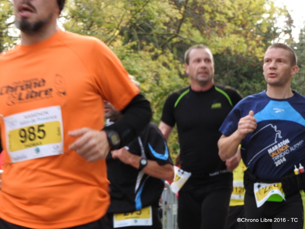 51-13112016 marathon de salon et relais CL (51)