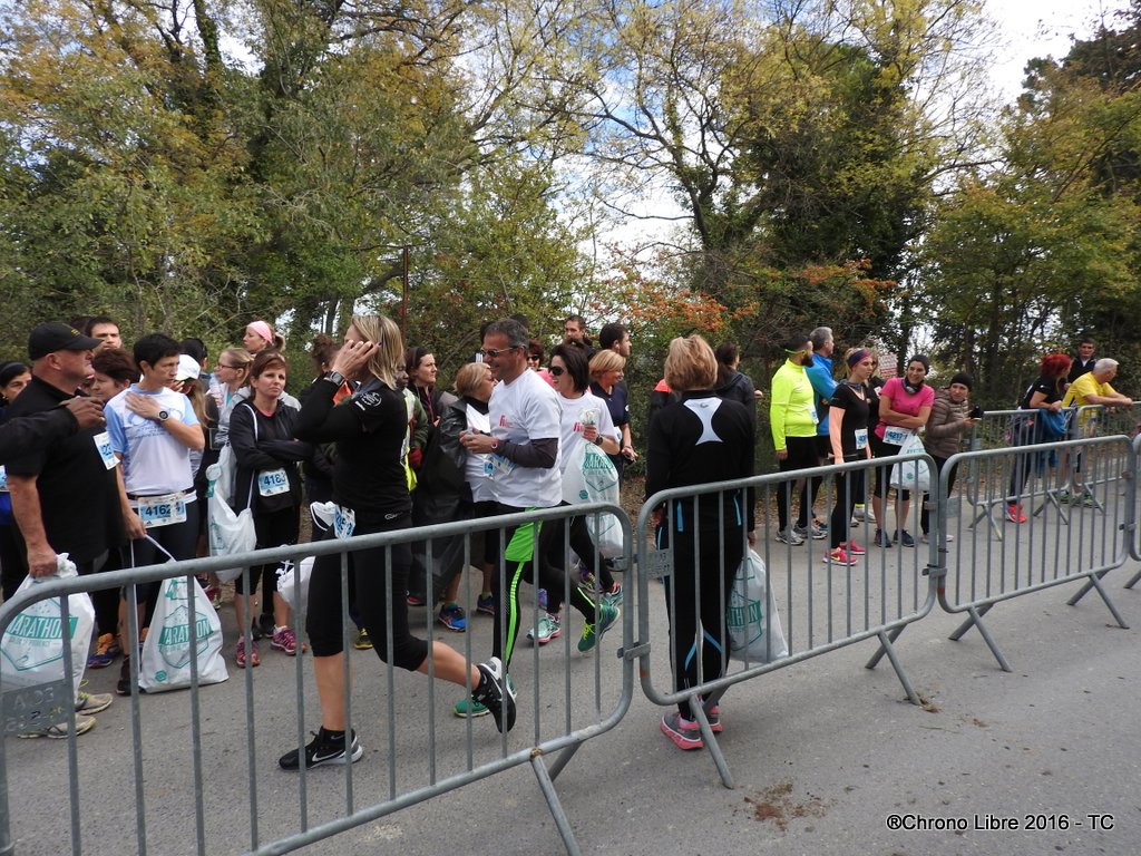 62-13112016 marathon de salon et relais CL (62)